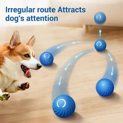 Interactive Dog Toy Ball: Smart, Rechargeable Fun for Active Pups!-Interactive Dog Toy-3-Colydia