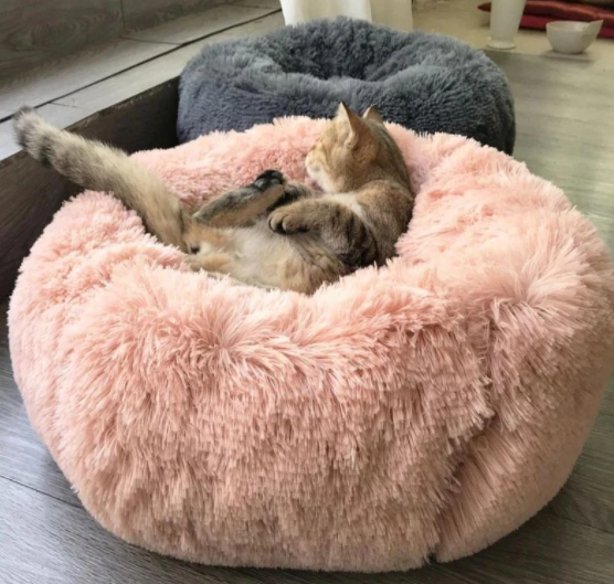 Donut Orthopedic Cat Bed for Stress Relief & Comfortable Sleep-Orthopedic Cat Bed-2-Colydia