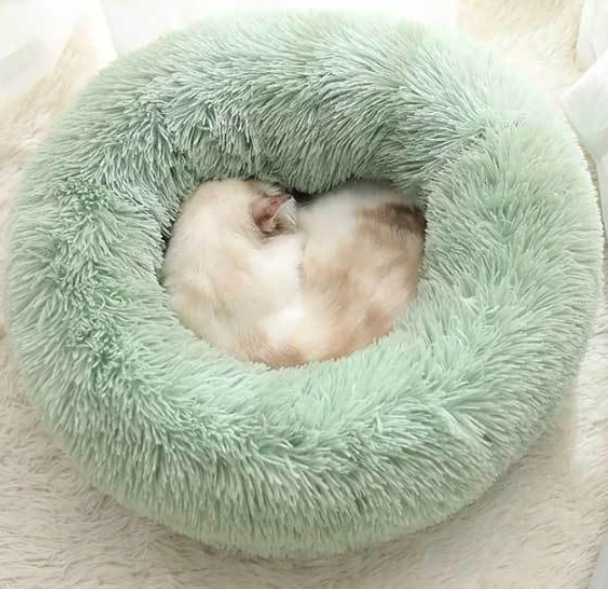 Donut Orthopedic Cat Bed for Stress Relief & Comfortable Sleep-Orthopedic Cat Bed-Small- 40cm/15.74inch-Green-5-Colydia