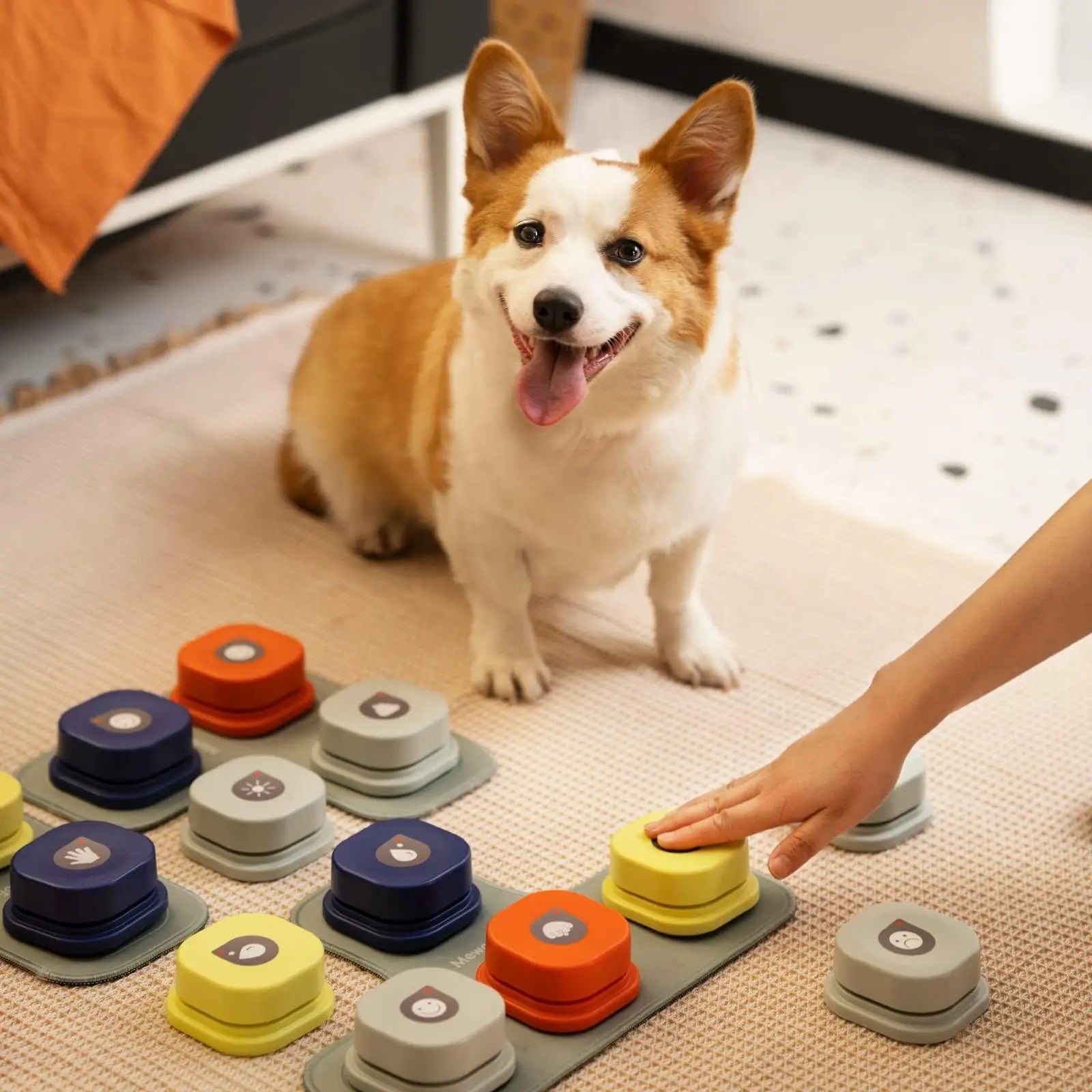 Interactive Customizable Pet Communication Buttons with Non-Skid Mat-Pet Communication Device-2-Colydia