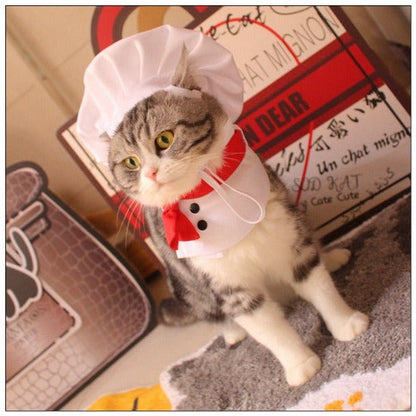 Pet Chef Costume | Cute Adjustable Hat & Bib for Cat & Dog Dress-Up-Pet Costume-4-Colydia