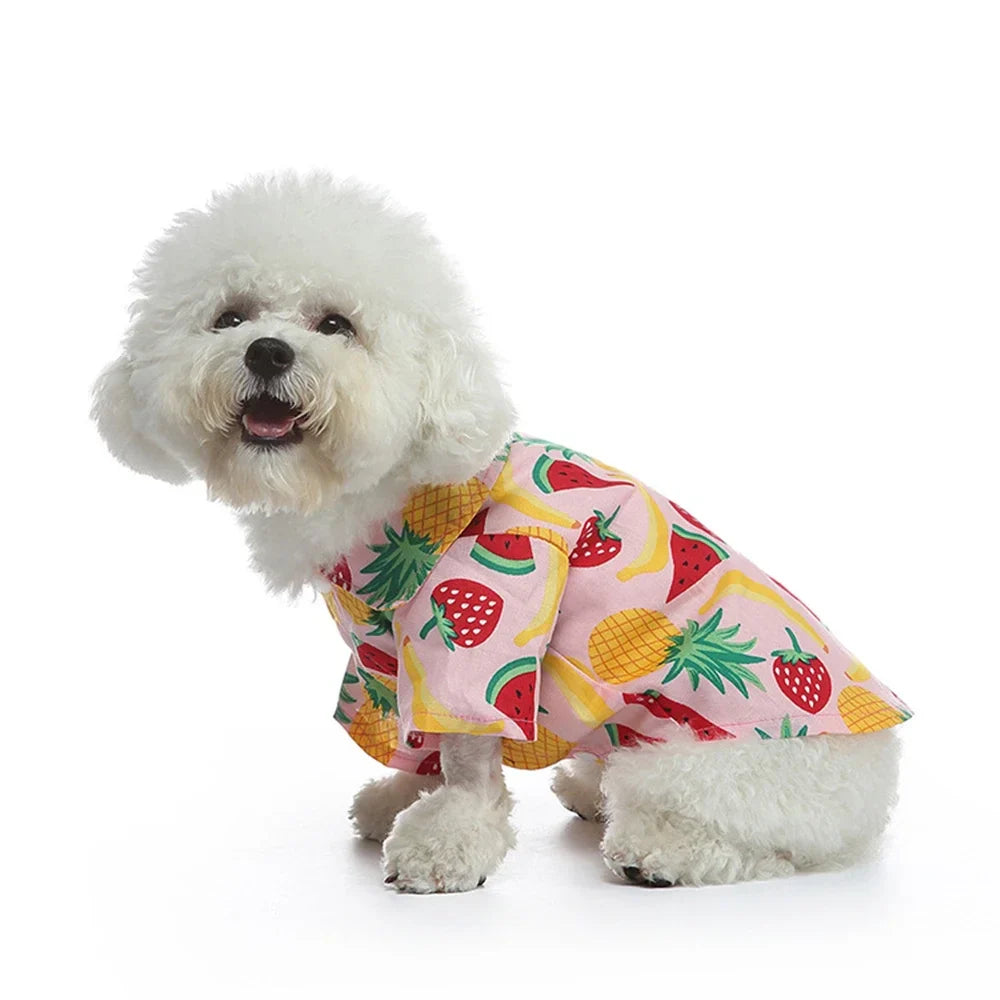 Vibrant Cotton Pet Shirt for Summer - Perfect for Cats & Dogs-Pet Clothing-4-Colydia