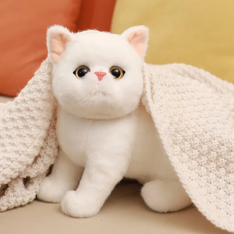 Adorable White Kitten Plush Toy - Soft, Realistic, 26 cm Cuddly Companion-Plush Toy-2-Colydia