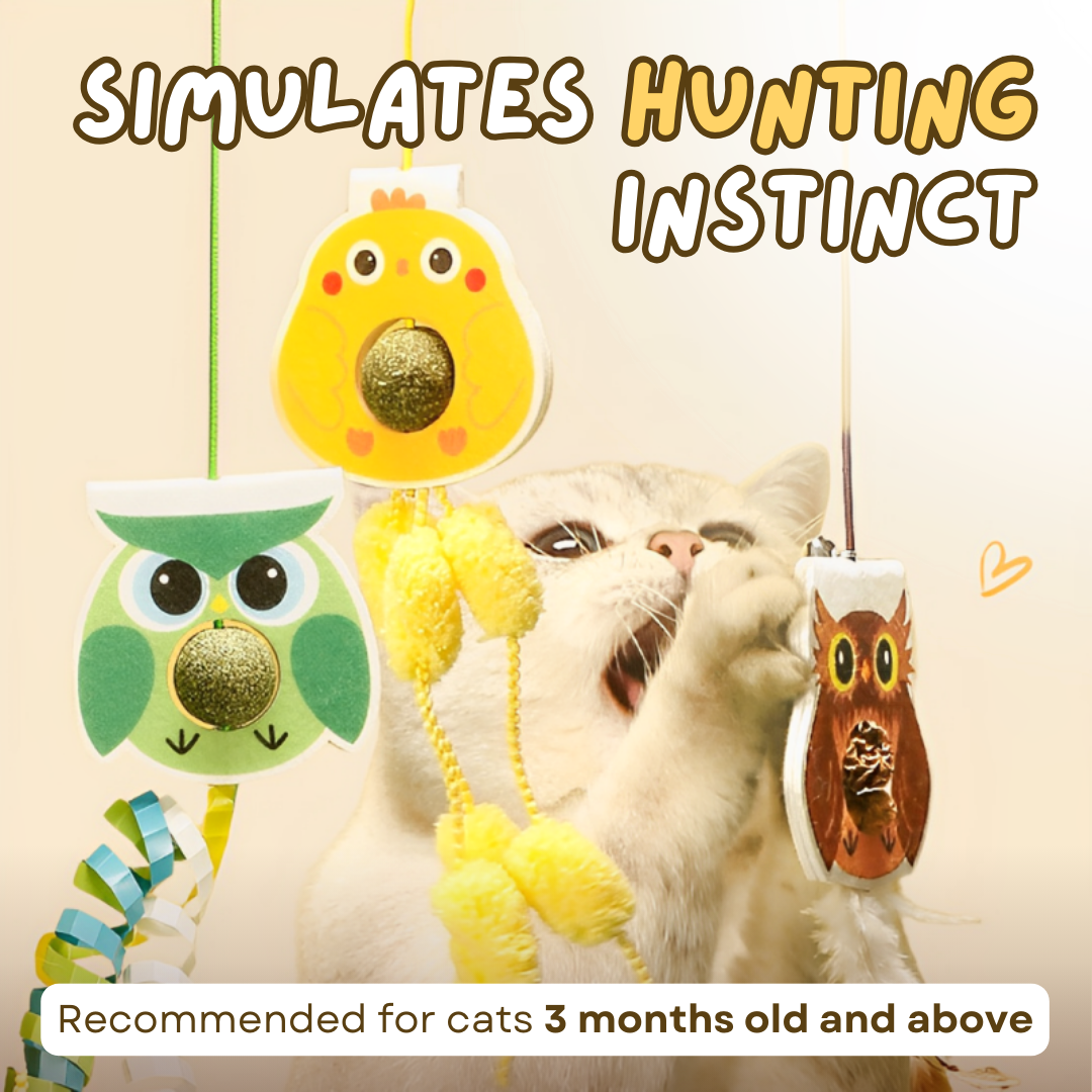 Interactive Elastic Cat Toys (Set of 4) with Catnip & Gallfruit-Interactive Cat Toy-3-Colydia