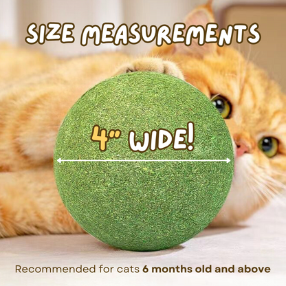 Jumbo Catnip Play Ball: Ultimate Interactive Toy for Happy Cats-Cat Toy-8-Colydia