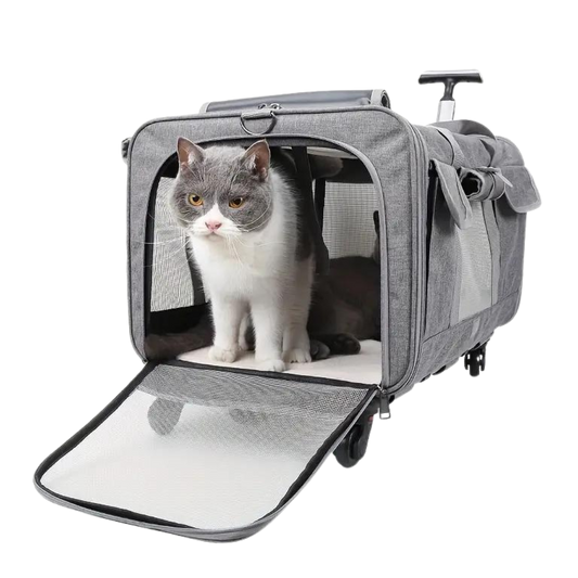 Stylish Pet-Friendly Carry-On: Ergonomic Travel for Cats-Pet Carrier Luggage-1-Colydia