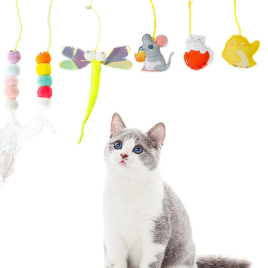 Exciting Dangling Cat Toy Set for Active Play (6 PCS)-Cat Toy Set-1-Colydia