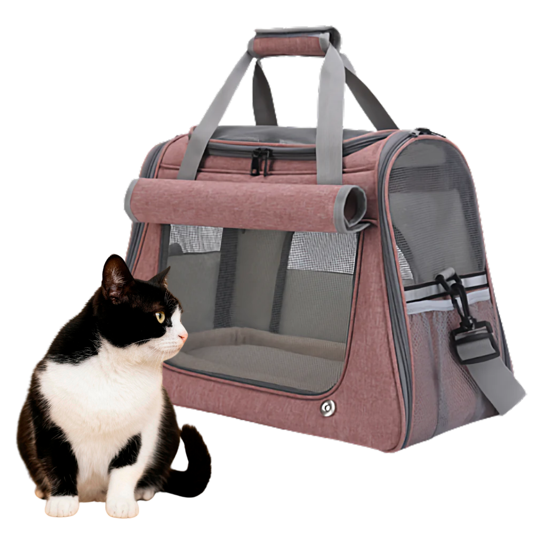 Durable Cat Travel Carrier with Mesh Panels for Easy Ventilation-Cat Travel Carrier-1-Colydia