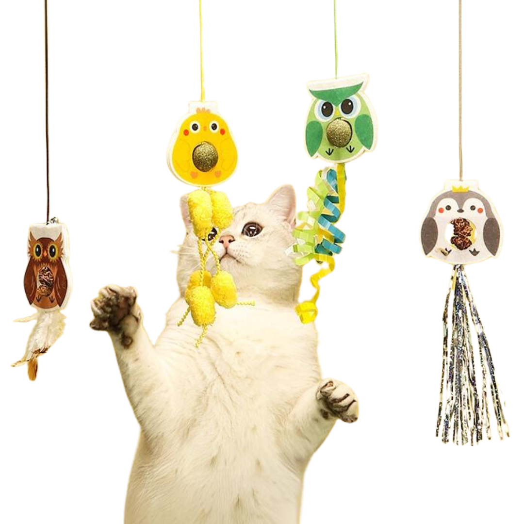 Interactive Elastic Cat Toys (Set of 4) with Catnip & Gallfruit-Interactive Cat Toy-1-Colydia