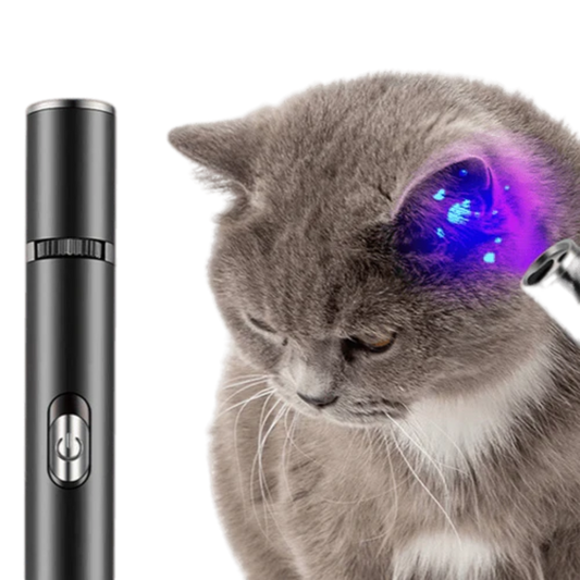 2-in-1 Cat Laser Toy with Health Benefits and Easy Recharge-Cat Laser Toy-1-Colydia