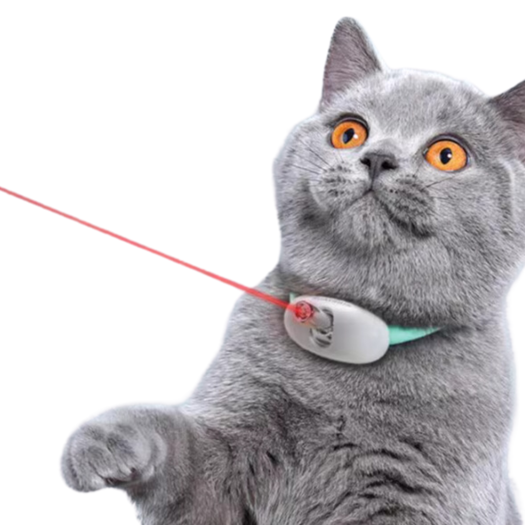 Interactive Laser Cat Collar – Automatic, Durable, and Adjustable Fun-Interactive Cat Toy Collar-1-Colydia