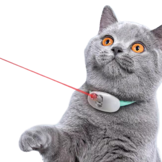 Interactive Laser Cat Collar – Automatic, Durable, and Adjustable Fun-Interactive Cat Toy Collar-1-Colydia