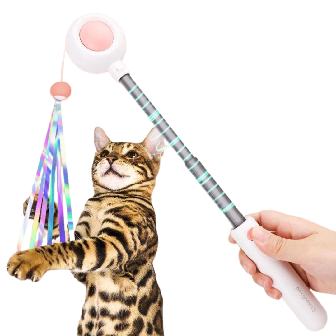 Interactive Cat Toy: Laser, Retractable Head, Feathers & More Fun!-Interactive Cat Toy-1-Colydia