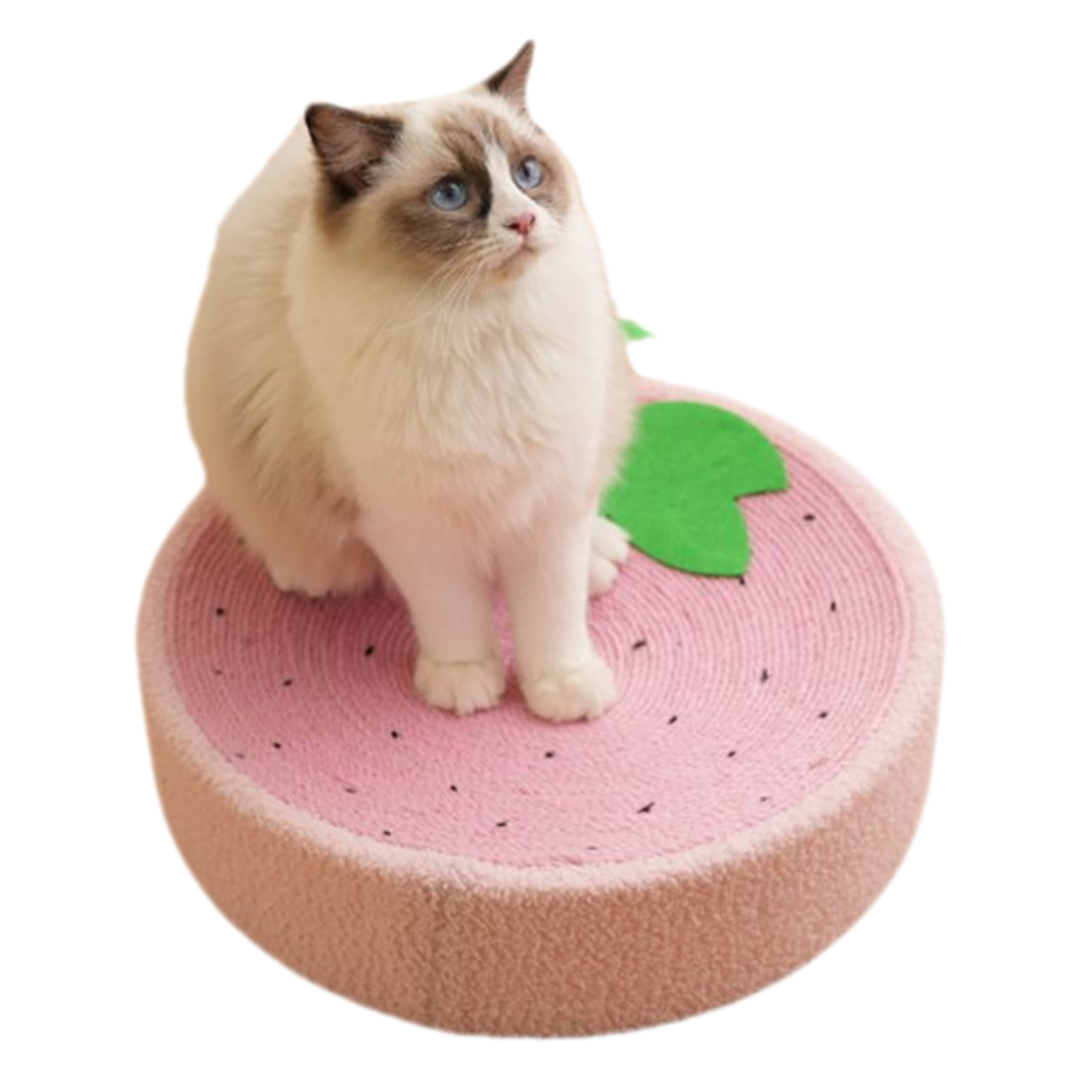 Space-Saving Cat Bed & Scratcher in Cute Designs for Cozy Homes-Cat Bed & Scratcher-1-Colydia