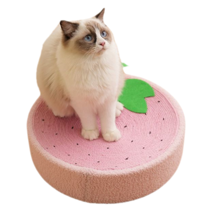 Space-Saving Cat Bed & Scratcher in Cute Designs for Cozy Homes-Cat Bed & Scratcher-1-Colydia