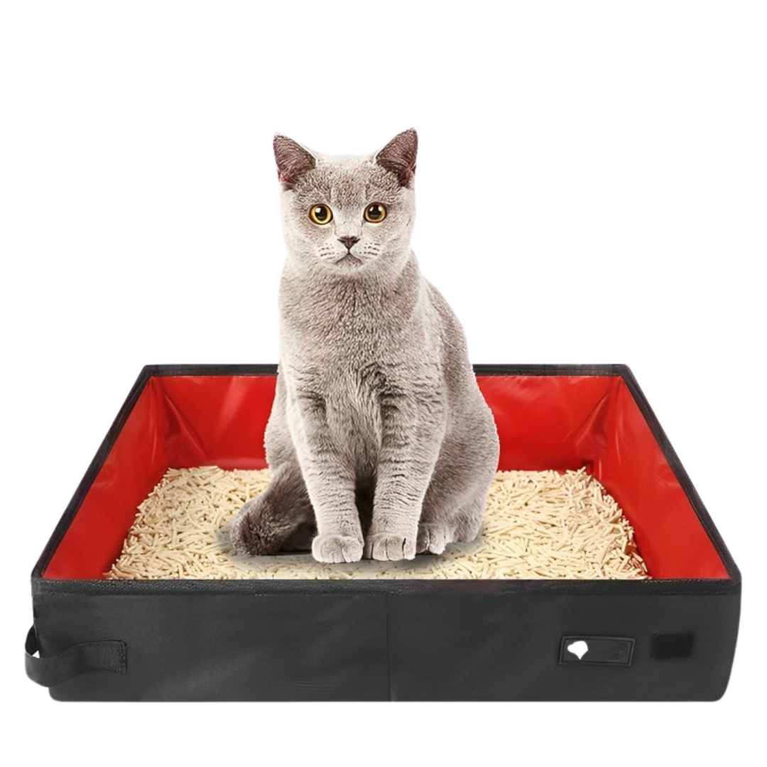 Portable Cat Litter Box for Travel: Compact, Hygienic & Leak-Proof-Portable Cat Litter Box-1-Colydia