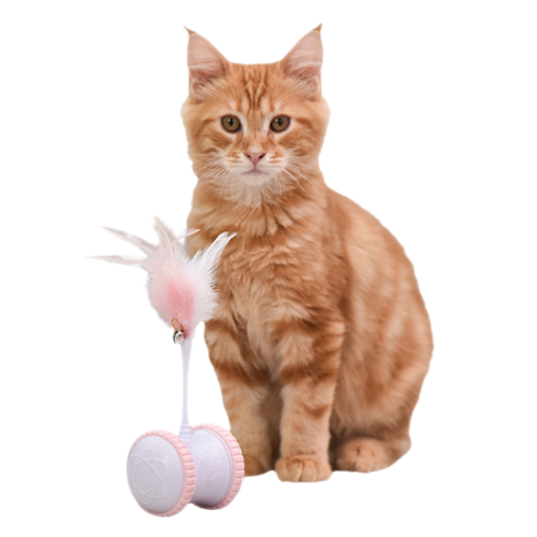 Interactive Rechargeable Cat Toy with Feather Teaser for Active Play-Interactive Cat Toy-1-Colydia