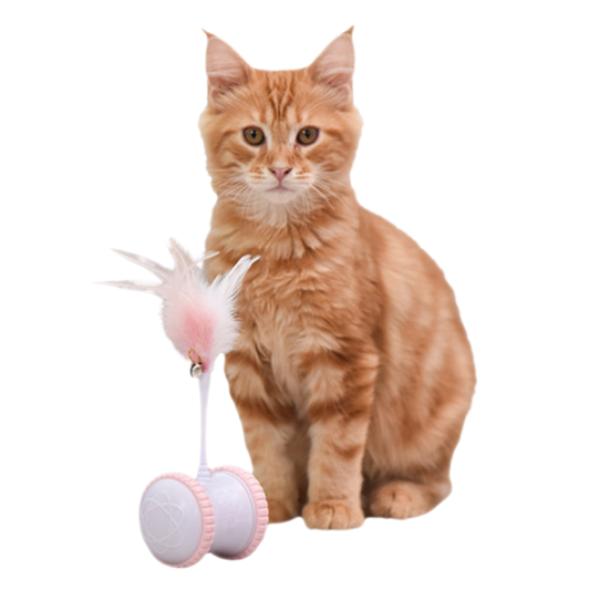 Interactive Rechargeable Cat Toy with Feather Teaser for Active Play-Interactive Cat Toy-1-Colydia