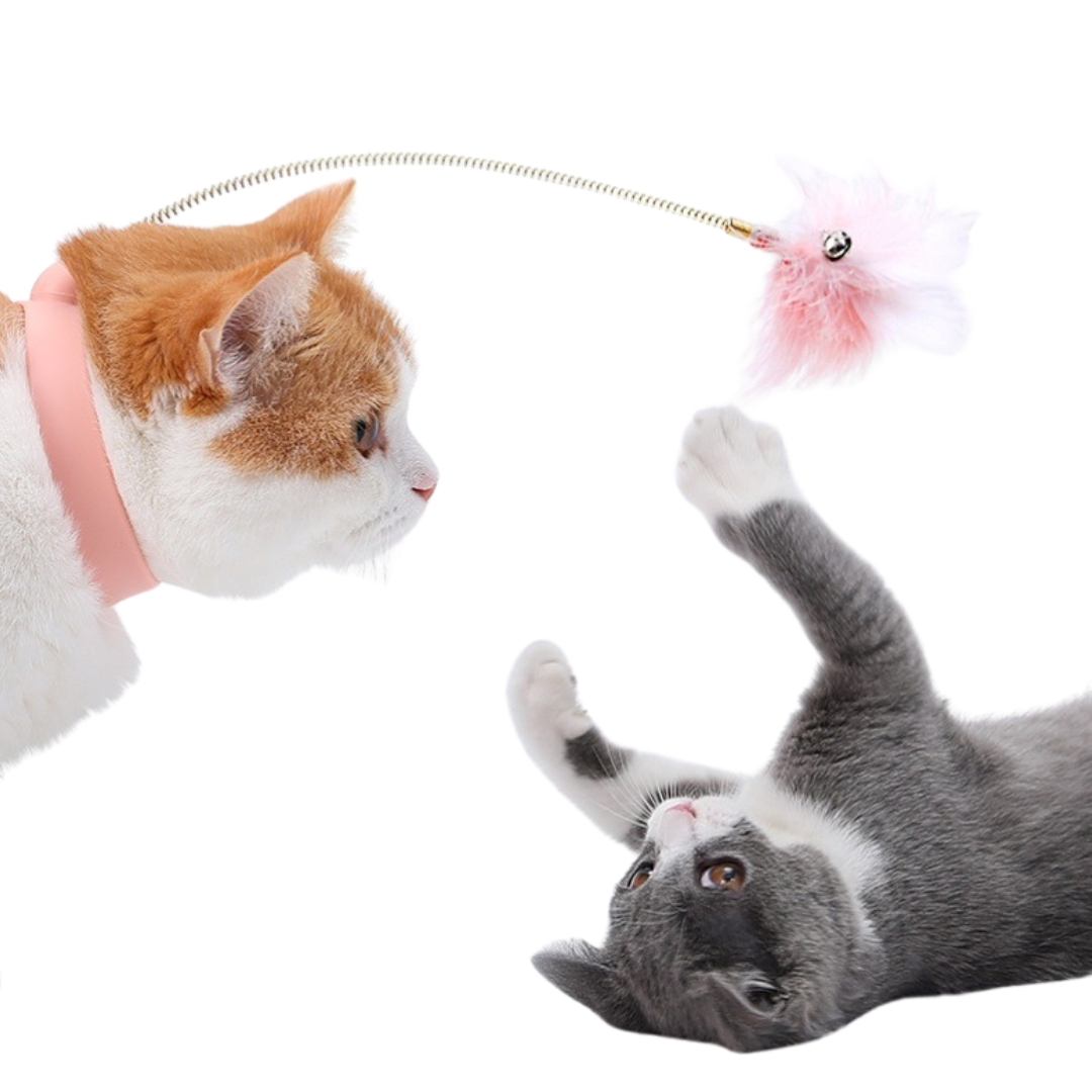 Interactive Cat Collar Toy for Endless Fun and Mental Stimulation-Cat Toy-1-Colydia