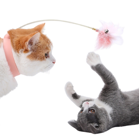 Interactive Cat Collar Toy for Endless Fun and Mental Stimulation-Cat Toy-1-Colydia