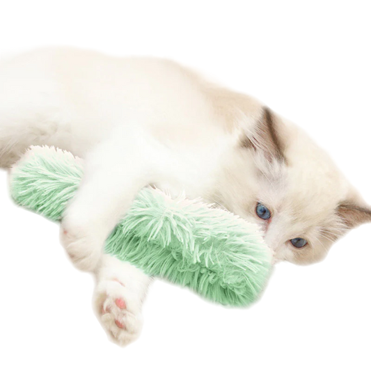 Catnip Crinkle Pillow Toy: Fun, Bite-Resistant, Comfy for Cats-Cat Toy-1-Colydia