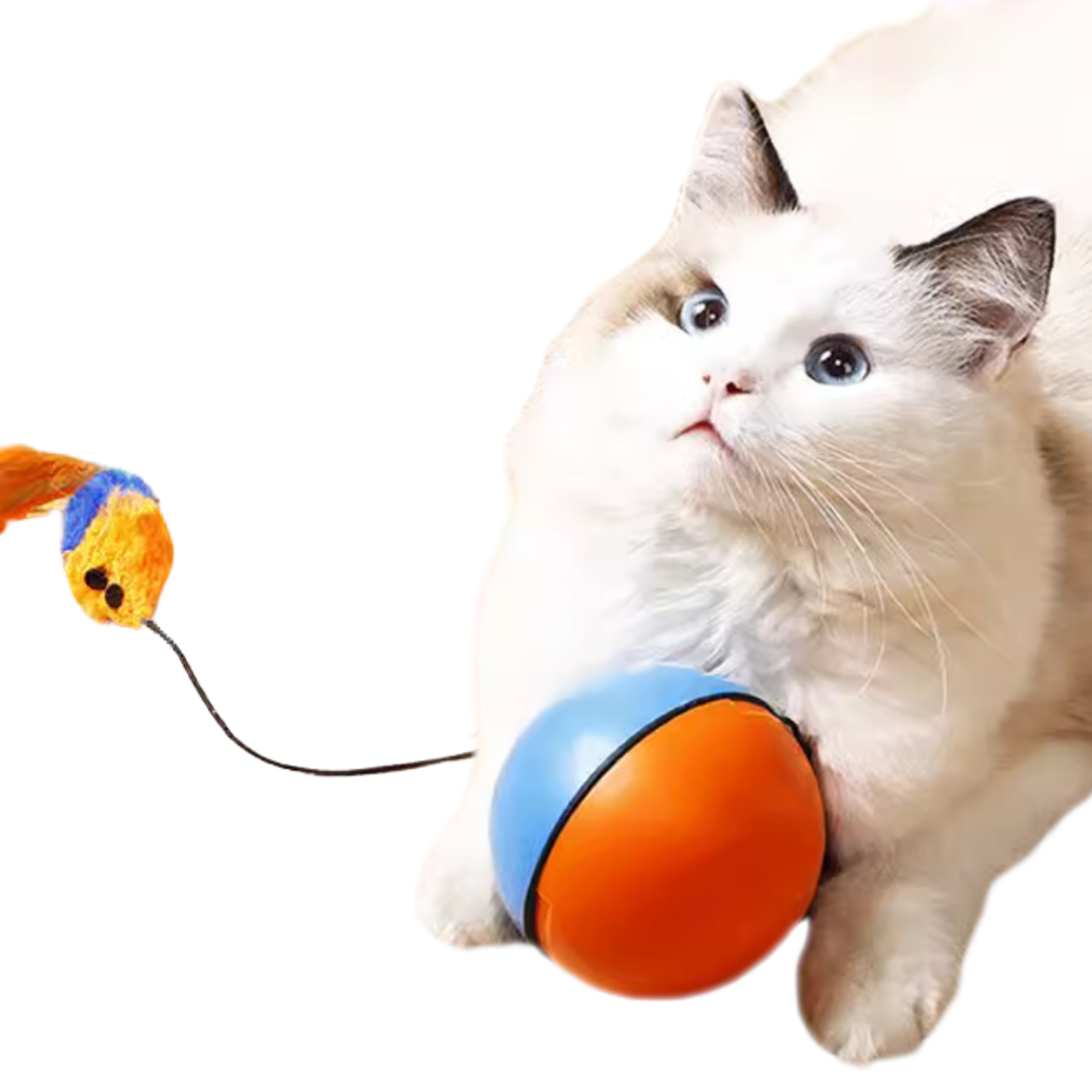 Automatic Cat Toy with Rolling Motion & Bump Prevention, Easy Setup-Automatic Cat Toy-1-Colydia