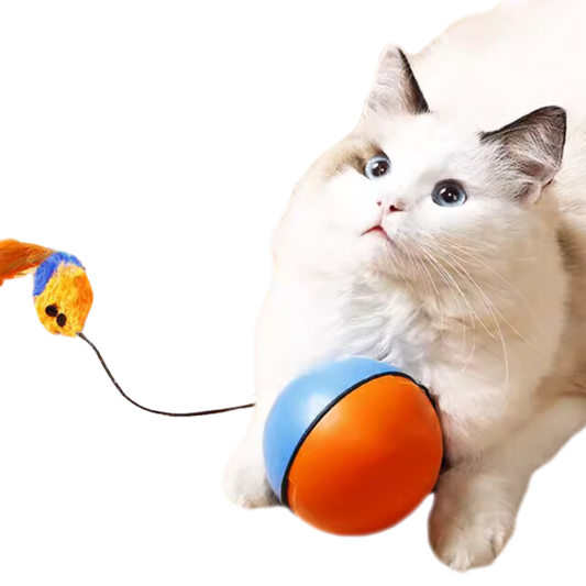 Automatic Cat Toy with Rolling Motion & Bump Prevention, Easy Setup-Automatic Cat Toy-1-Colydia