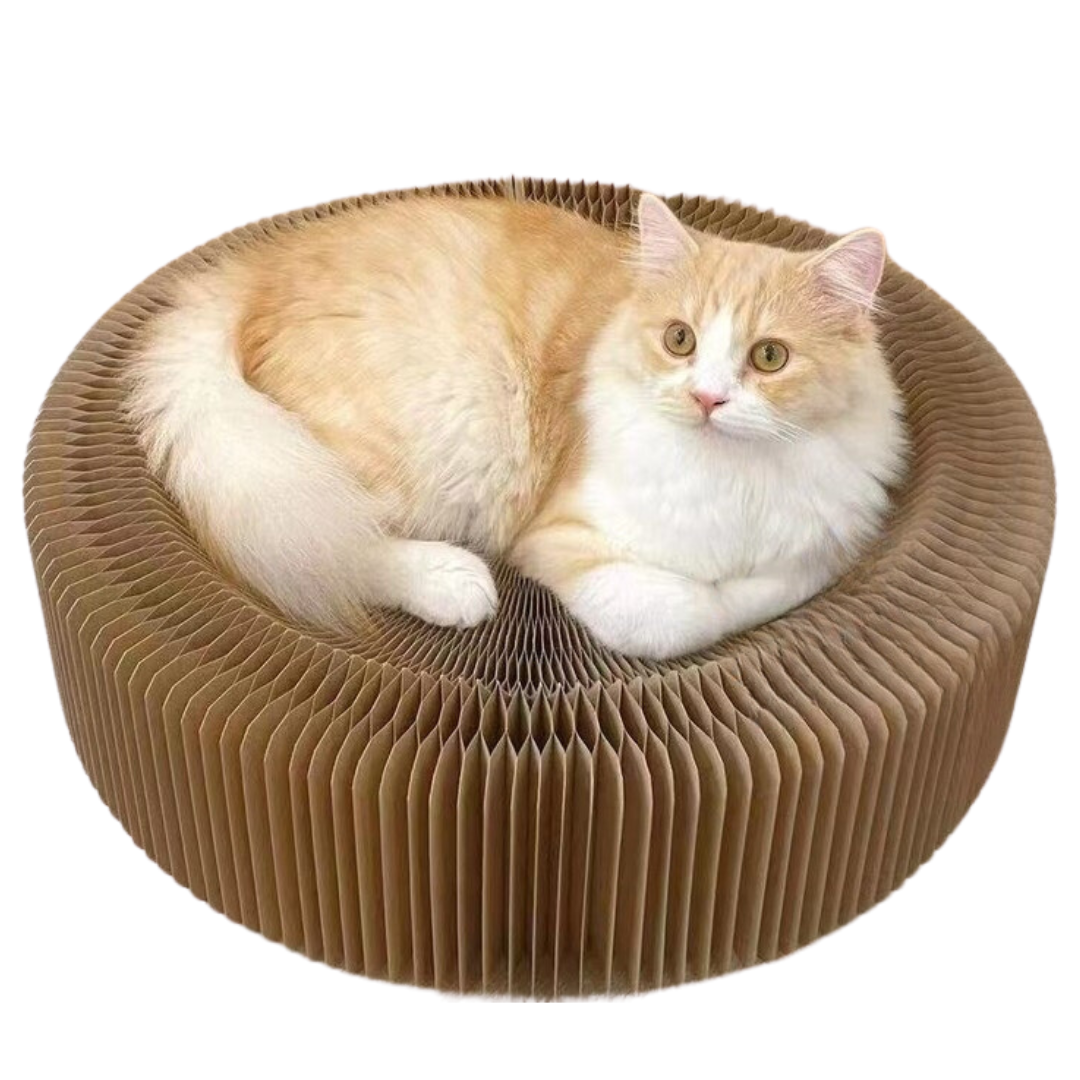 Cozy Cat Scratcher Lounge: Durable, Lightweight, Compact Design-Cat Scratcher Bed-1-Colydia