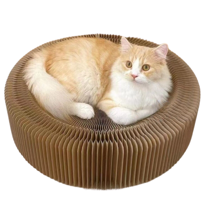 Cozy Cat Scratcher Lounge: Durable, Lightweight, Compact Design-Cat Scratcher Bed-1-Colydia