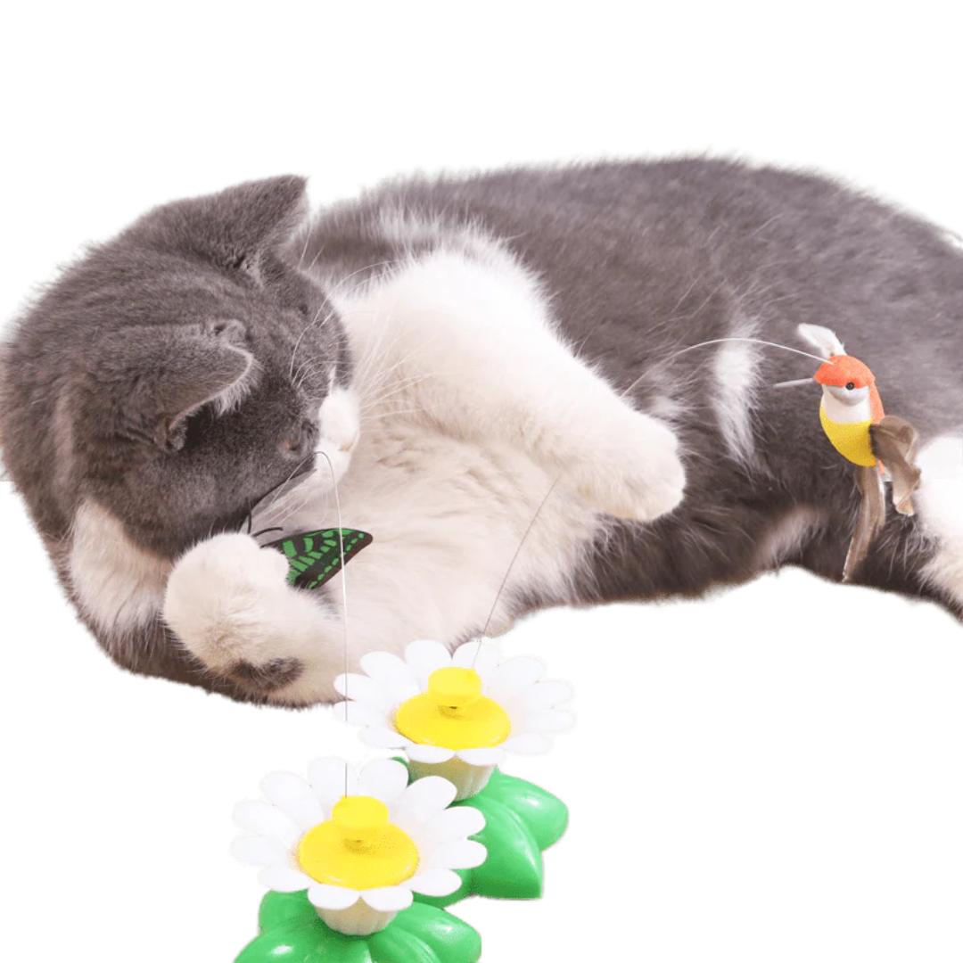 Interactive Cat Bird Toy: Engaging Playtime and Exercise Solution-Interactive Cat Toy-1-Colydia