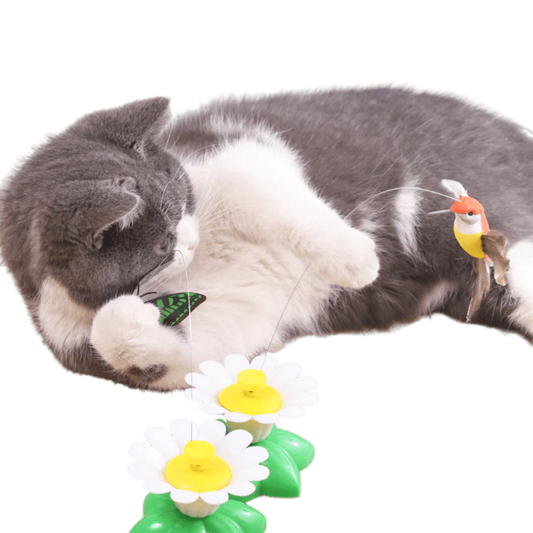 Interactive Cat Bird Toy: Engaging Playtime and Exercise Solution-Interactive Cat Toy-1-Colydia