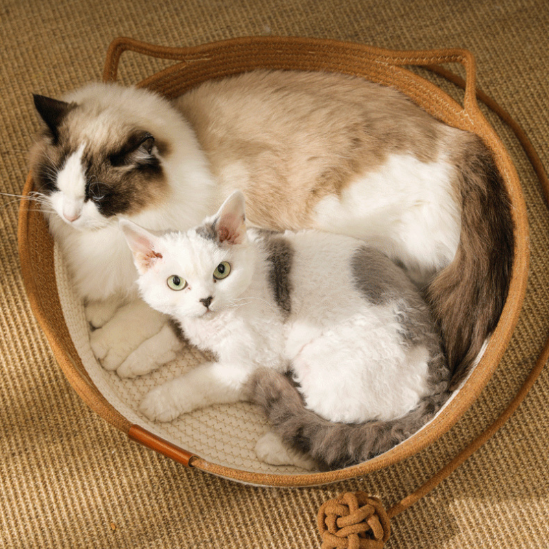 Plush Cat Bed with Removable Layers, Non-Slip Comfy Design-Cat Bed-2-Colydia