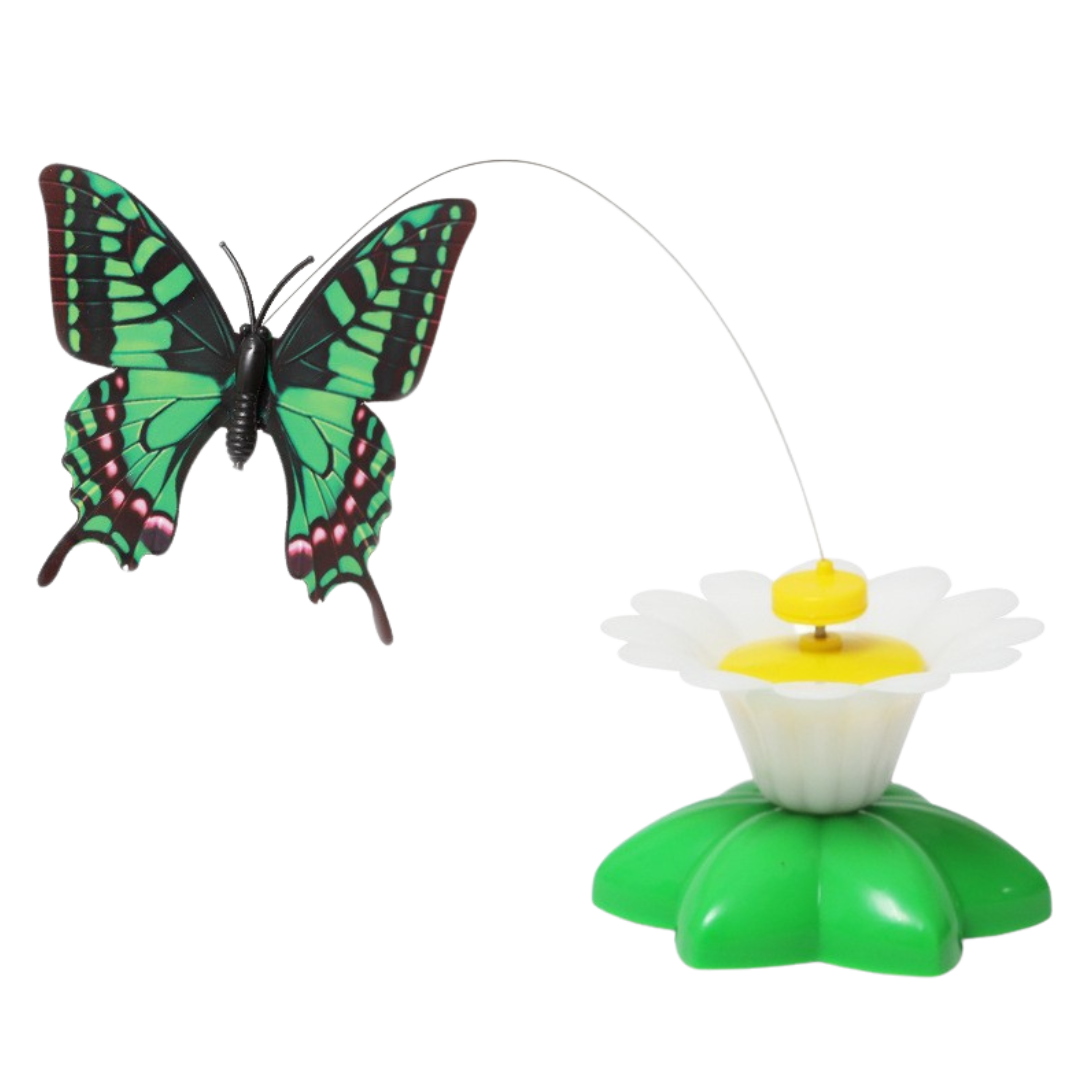 Interactive Cat Bird Toy: Engaging Playtime and Exercise Solution-Interactive Cat Toy-Butterfly-8-Colydia