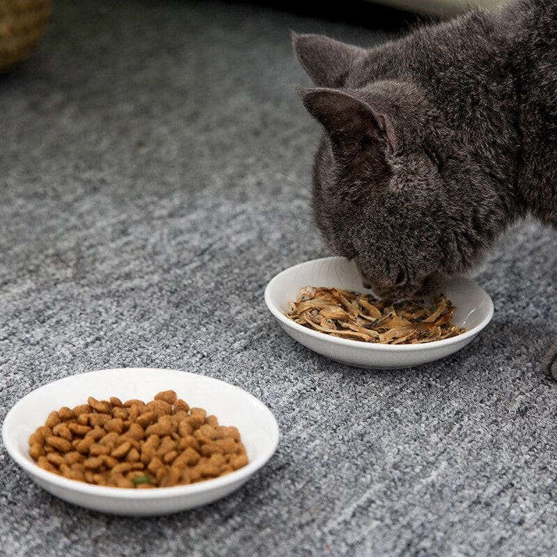 Flat Ceramic Cat Plate with Feline Paw Print – Perfect for Persians-Cat Bowl-10-Colydia