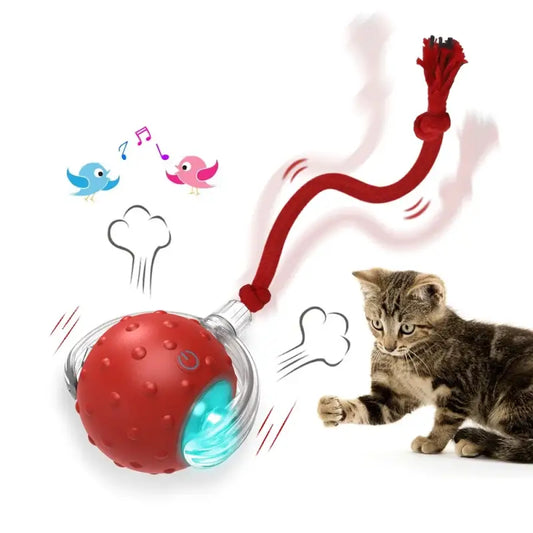 Interactive Cat Ball Toy with USB Recharge and Bird Sounds-Cat Toy-1-Colydia