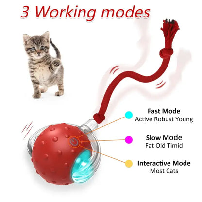 Interactive Cat Ball Toy with USB Recharge and Bird Sounds-Cat Toy-6-Colydia