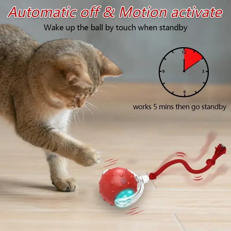 Interactive Cat Ball Toy with USB Recharge and Bird Sounds-Cat Toy-5-Colydia