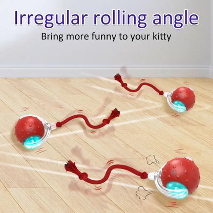 Interactive Cat Ball Toy with USB Recharge and Bird Sounds-Cat Toy-4-Colydia