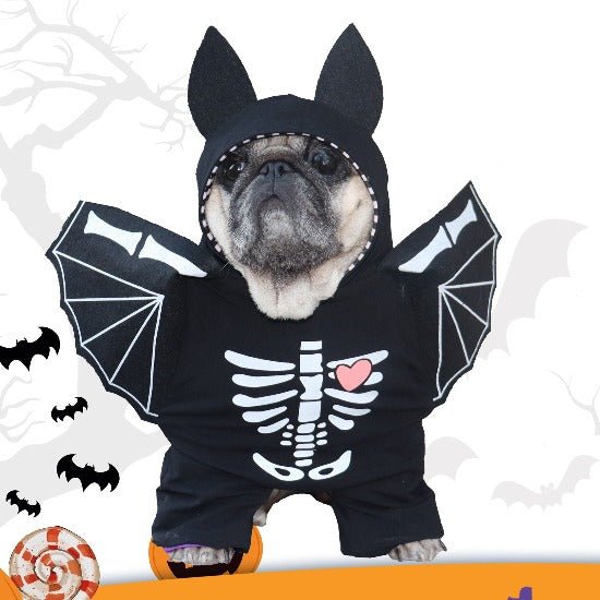 Halloween Pet Skeleton Costume with Wings - Cute & Spooky Outfit-Pet Costume-2-Colydia