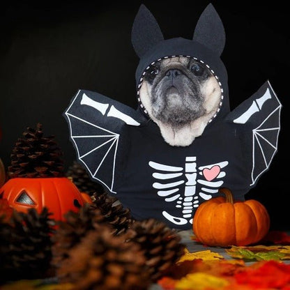 Halloween Pet Skeleton Costume with Wings - Cute & Spooky Outfit-Pet Costume-6-Colydia