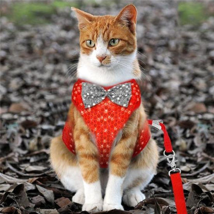 Glamorous Sequined Pet Harness & Lead with Quick-Release Buckle-Pet Harness Set-2-Colydia