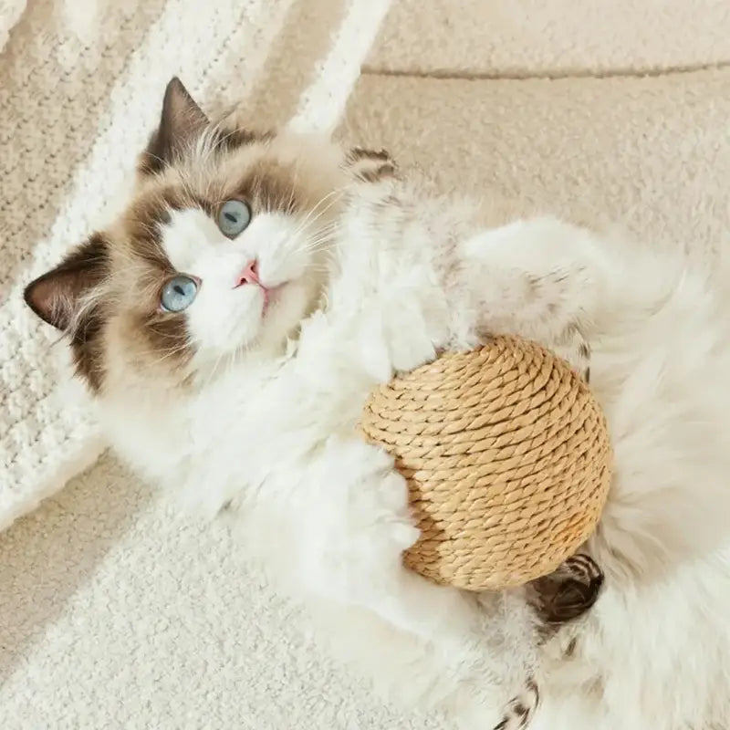 Interactive Sisal Cat Scratching Ball with Bell for Claw Sharpening-Cat Scratching Toy-3-Colydia