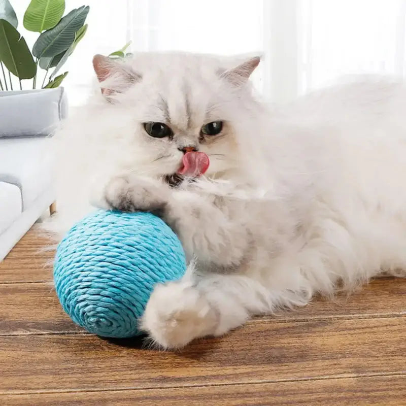 Interactive Sisal Cat Scratching Ball with Bell for Claw Sharpening-Cat Scratching Toy-2-Colydia