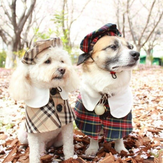 Plaid Pet Coat & Beret Set for Cats and Dogs - Trendy & Chic Design-Pet Apparel Set-1-Colydia