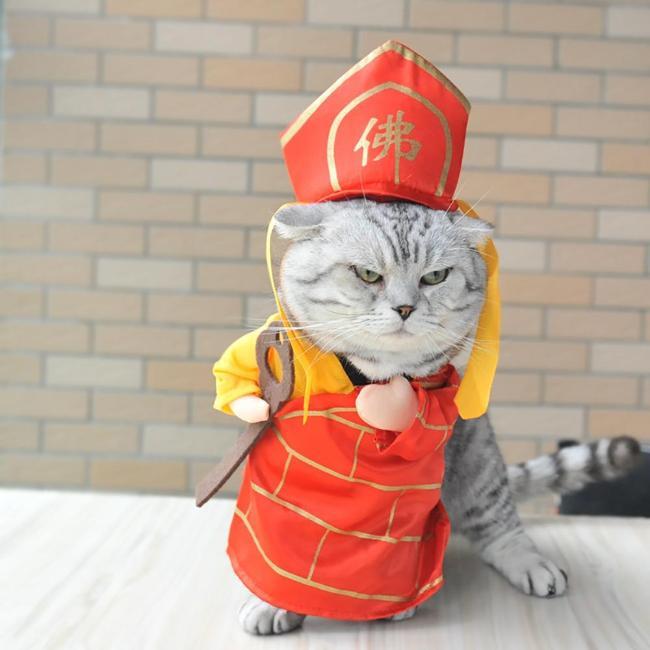 Adorable Pet Monk Costume - Serene Outfit for Cats & Dogs-Pet Costume-1-Colydia