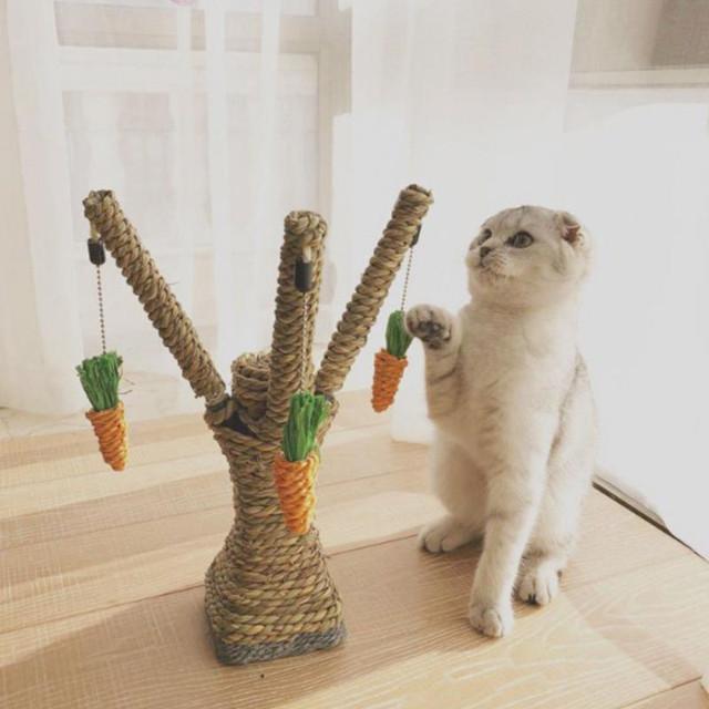 Sisal Cat Scratcher Tree with Carrot Toys for Active Cats-Cat Scratcher Tree-1-Colydia