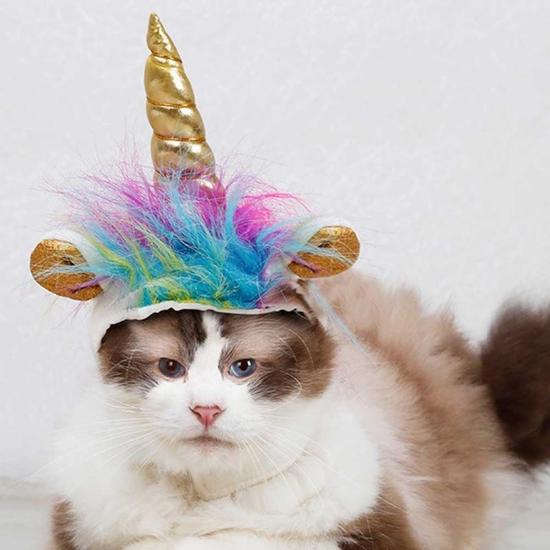 Whimsical Caticorn Hat for Cats - Turn Your Feline into a Unicorn-Pet Costume Accessory-2-Colydia