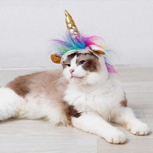 Whimsical Caticorn Hat for Cats - Turn Your Feline into a Unicorn-Pet Costume Accessory-1-Colydia