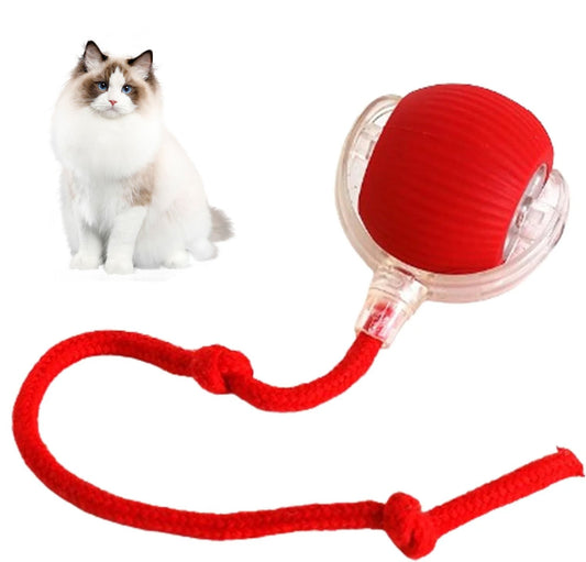 Smart Interactive Pet Toy Ball for Cats and Dogs-Interactive Pet Toy-1-Colydia