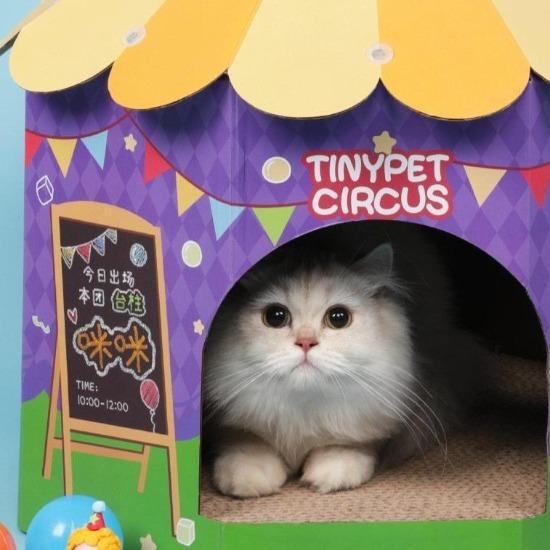 Colorful Circus Tent with Scratcher & Toys for Cats' Playful Adventure-Cat Scratching Post and Play Tent-7-Colydia